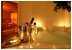 Hotel Premium, Reception